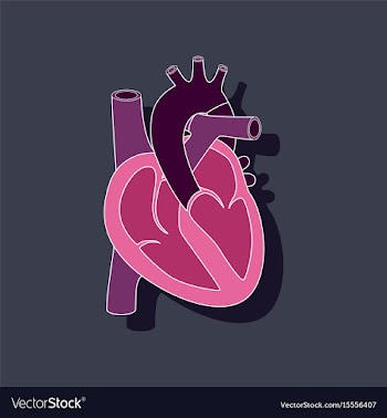 Human heart paper sticker on stylish background vector image