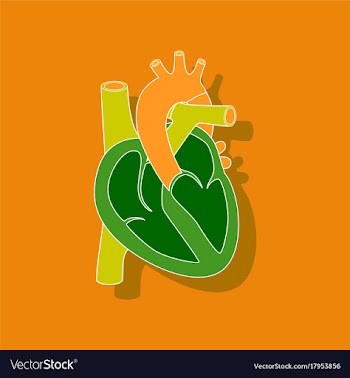 Human heart paper sticker on stylish background vector image