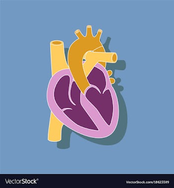 Human heart paper sticker on stylish background vector image