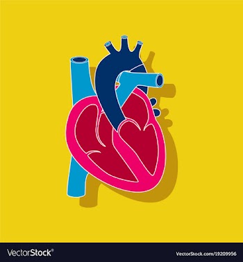 Human heart paper sticker on stylish background vector image