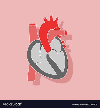 Human heart paper sticker on stylish background vector image