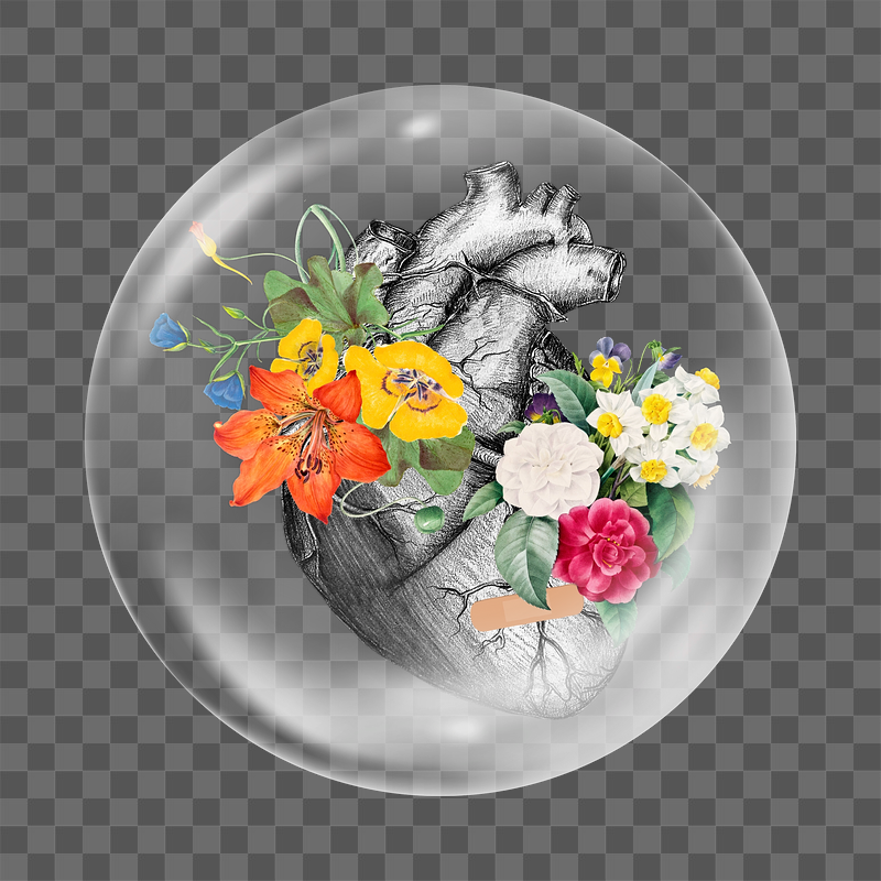 Human heart png sticker, colorful | Free PNG - rawpixel
