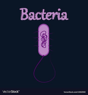 Human icon in flat style bacteria vector image