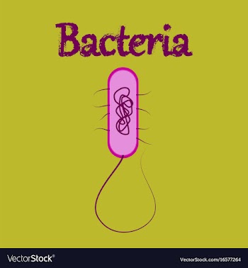 Human icon in flat style bacteria vector image