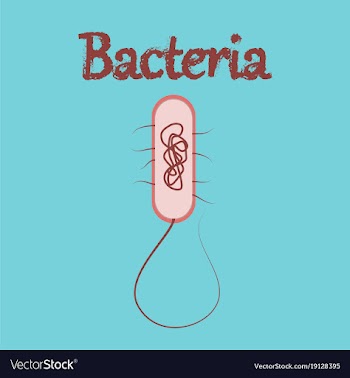 Human icon in flat style bacteria vector image