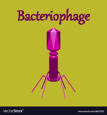Human icon in flat style bacteriophage vector image