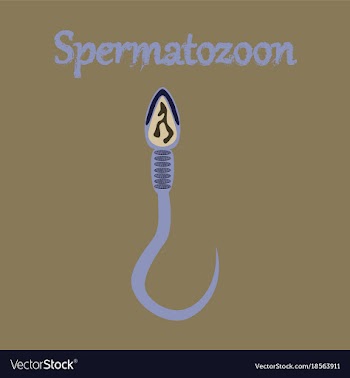 Human icon in flat style spermatozoon vector image