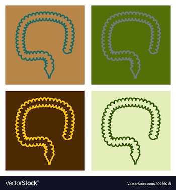 Human intestines in digestive system large and vector image