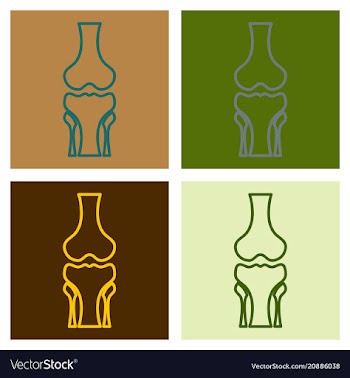 Human knee joint bone icon health medical vector image