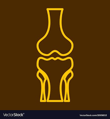 Human knee joint bone icon health medical vector image