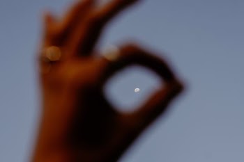 human left hand