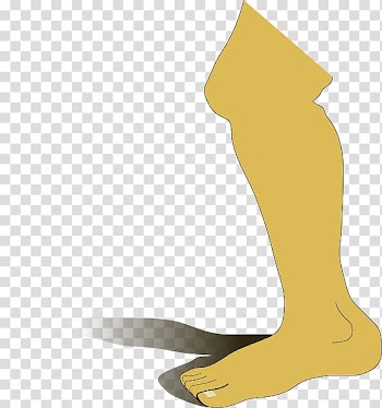 Human leg Thigh Cartoon Animation , Cartoon Leg transparent background PNG clipart