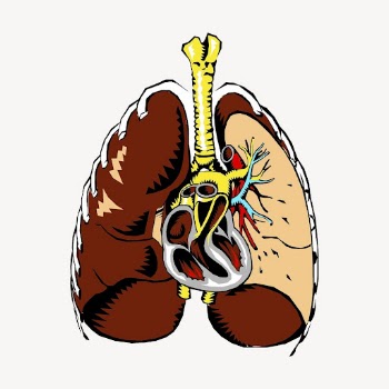Human lungs collage element, medical | Free PSD - rawpixel
