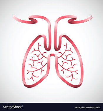  					Human lungs in pink ribbon shape color vector&nbsp;image														