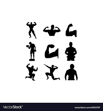 human muscle body design