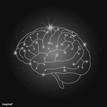 Human nervous system | Free stock vector - 593115