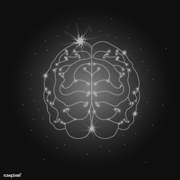 Human nervous system | Free stock vector - 593116
