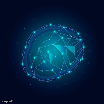 Human nervous system | Free stock vector - 593122