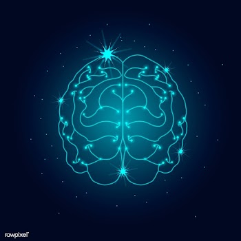 Human nervous system | Free stock vector - 593126