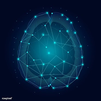 Human nervous system | Free stock vector - 593129