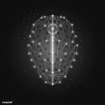 Human nervous system | Free stock vector - 593130