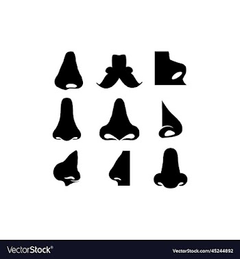 human nose set creative design
