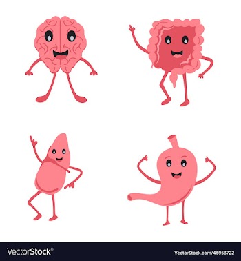 human organ character set 1
