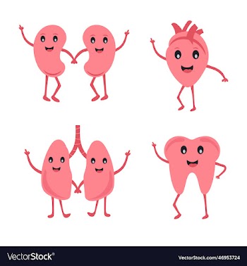 human organ character set 2