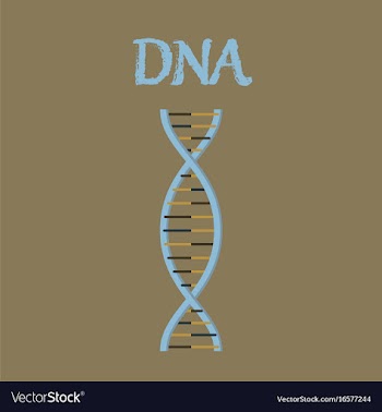 Human organ icon in flat style dna vector image