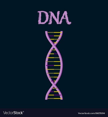 Human organ icon in flat style dna vector image