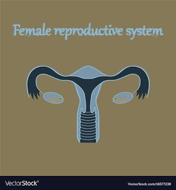 Human organ icon in flat style female vector image
