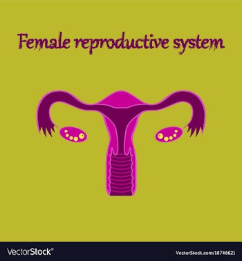Human organ icon in flat style female vector image