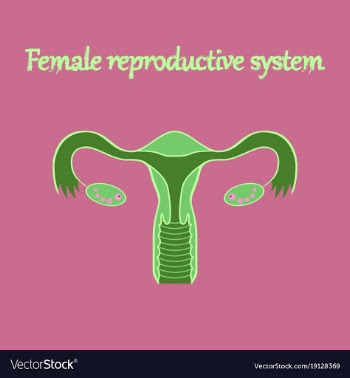 Human organ icon in flat style female vector image
