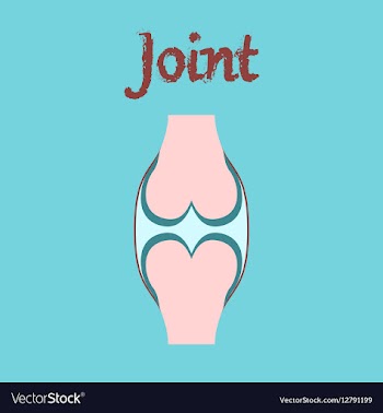 Human organ icon in flat style joint vector image