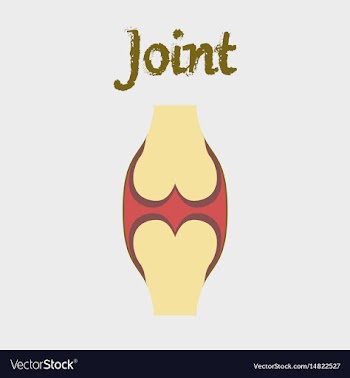 Human organ icon in flat style joint vector image