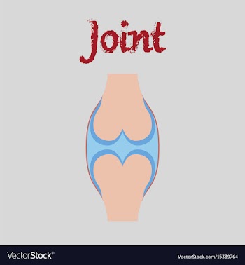 Human organ icon in flat style joint vector image