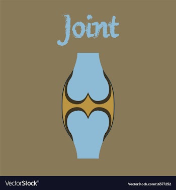 Human organ icon in flat style joint vector image