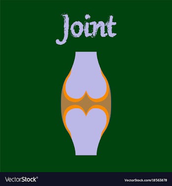 Human organ icon in flat style joint vector image