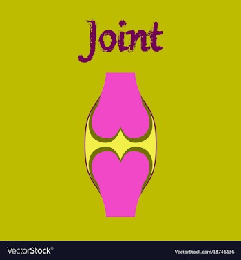 Human organ icon in flat style joint vector image