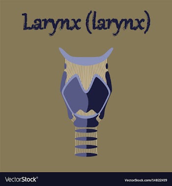 Human organ icon in flat style larynx vector image