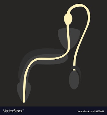 Human organ icon in flat style male reproductive vector image