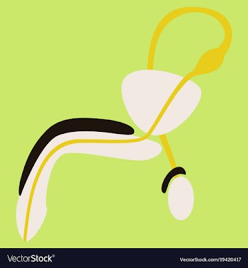 Human organ icon in flat style male reproductive vector image