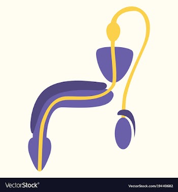 Human organ icon in flat style male reproductive vector image