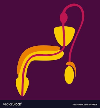 Human organ icon in flat style male reproductive vector image