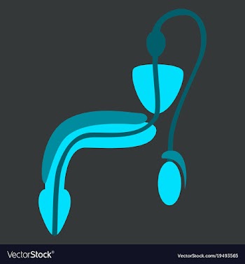 Human organ icon in flat style male reproductive vector image