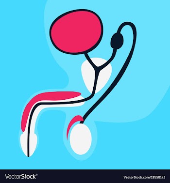 Human organ icon in flat style male reproductive vector image