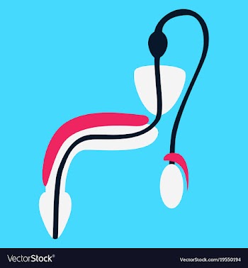 Human organ icon in flat style male reproductive vector image