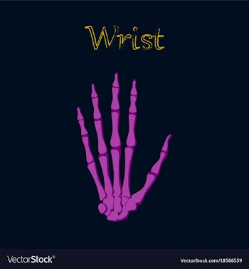 Human organ icon in flat style wrist bone vector image
