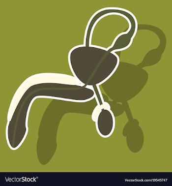 Human organ icon in sticker style male vector image