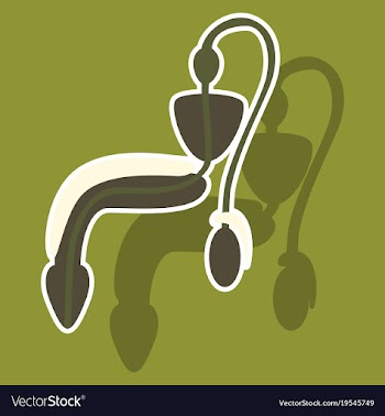 Human organ icon in sticker style male vector image